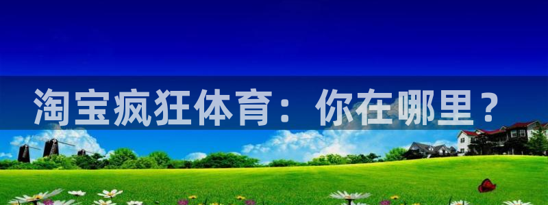 风速体育