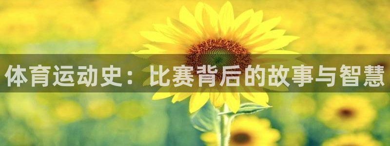 风速体育nba直播