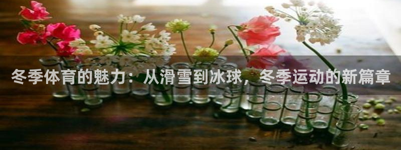 风速体育