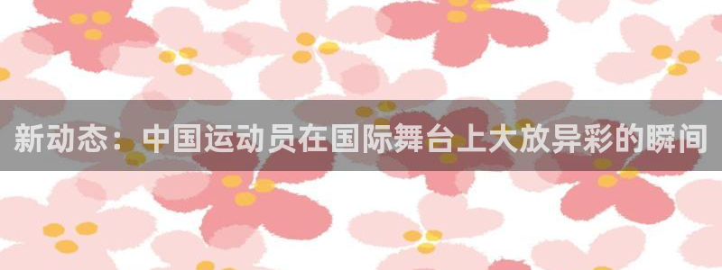 风速体育直播