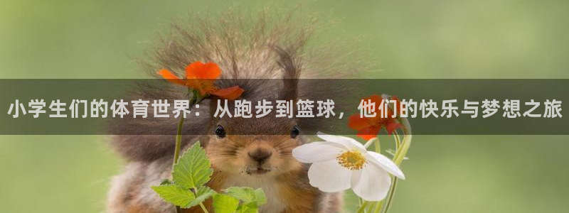 风速体育app：小学生们的体育世界：从跑步到篮球，他们的快乐与梦想之旅