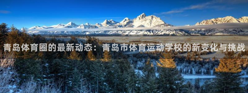 风速体育app下载官网最新版