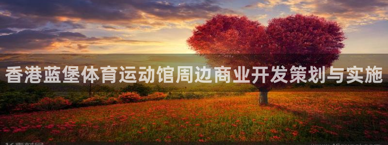 风速体育