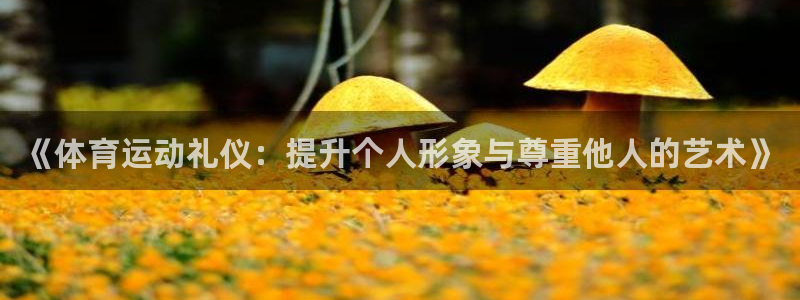 下载风速体育：《体育运动礼仪：提升个人形象与尊重他人的艺术》