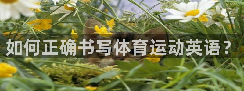 风速体育直播：如何正确书写体育运动英语？