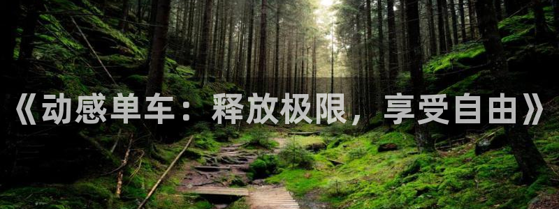 风速体育nba直播：《动感单车：释放极限，享受自由》