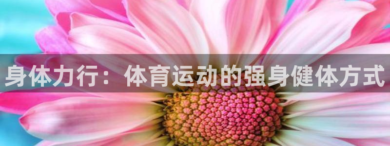 风速体育直播：身体力行：体育运动的强身健体方式