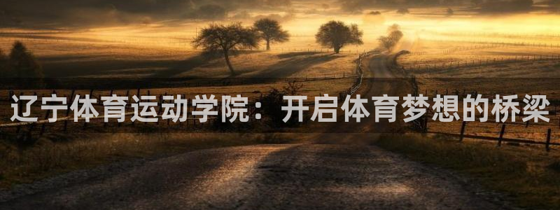 风速体育直播：辽宁体育运动学院：开启体育梦想的桥梁