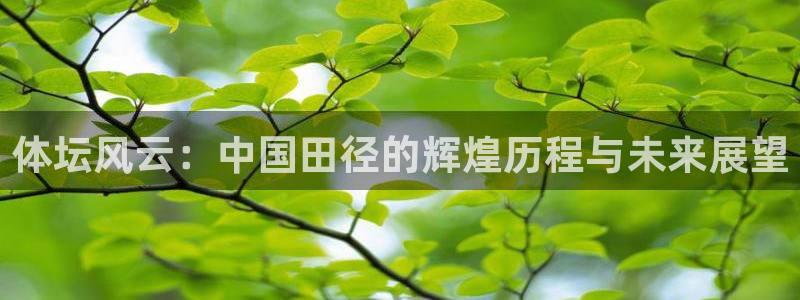 风速体育：体坛风云：中国田径的辉煌历程与未来展望