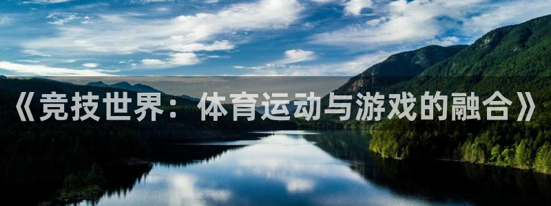 风速体育app下载官网最新版：《竞技世界：体育运动与游戏的融合》