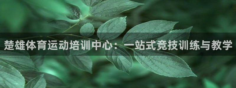 风速体育app：楚雄体育运动培训中心：一站式竞技训练与教学